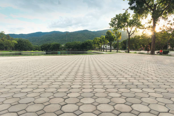 Best Driveway Pavers Contractor  in Avra Valley, AZ